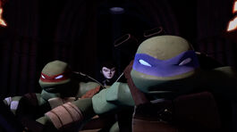 Leo-and-Raph-TMNT 38