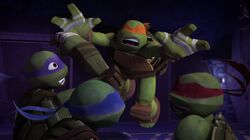 Tmnt205 1243