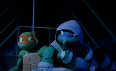 Mikey-and-Leo-385-TMNT