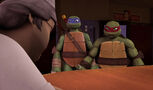 Tmnt219 0374