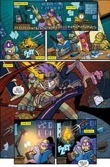 AmAdvs 11 17