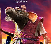 Splinter