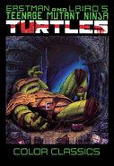 Teenage Mutant Ninja Turtles: Color Classics Volume 3