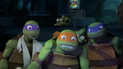 Tmnt207 1197