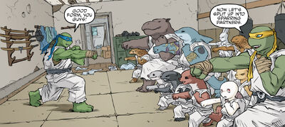 Splinter Dojo training.jpg