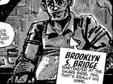 Brooklyn S. Bridge