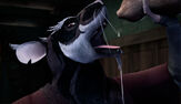 Splinter(TMNT2012) 0322