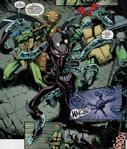 Hakk-R gegen die Turtles