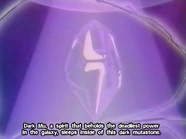 Turtles03.jpg (42 KB)