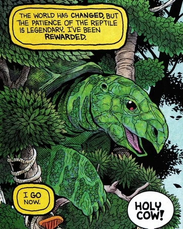 Die Grosse Schildkrote Teenage Mutant Ninja Turtles Wiki Fandom