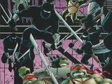 Teenage Mutant Ninja Turtles issue 23 (Image)