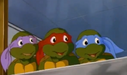 Remember baby turtles by xxcareysshadowxx-d6f5ir3