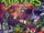 Teenage Mutant Ninja Turtles Adventures Volume 13