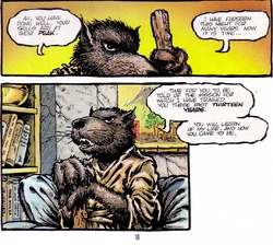 Hamato Splinter (Mirage)/Gallery | TMNTPedia | Fandom