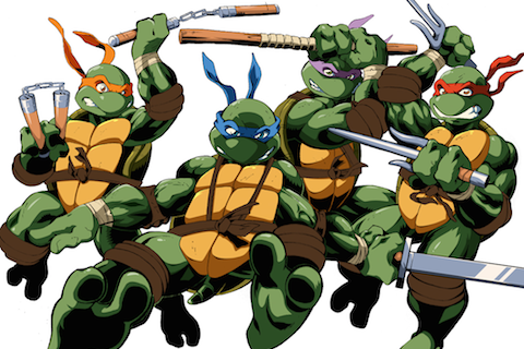 Teenage Mutant Ninja Turtles Wiki