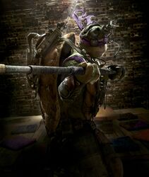 Donatello 2014 Textless Poster