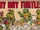 Toy Boy Turtles