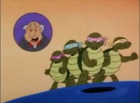 AnimaniacsTMNT.jpg (31 KB)