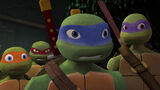 Tmnt219 0880