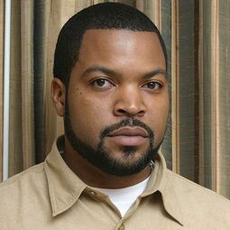 Ice cube