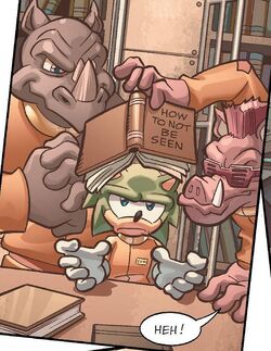 TMNT Entity: Sonic the Hedgehog #10