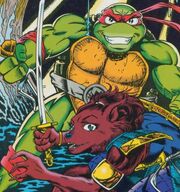 Raph ninjara