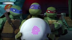 Tmnt201 0287