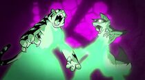 12 Alopex origin