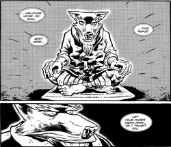 Hamato Splinter (Mirage)/Gallery | TMNTPedia | Fandom