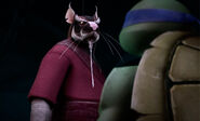 Splinter(TMNT2012) 0275