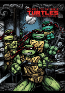 Teenage Mutant Ninja Turtles: The Ultimate Collection Volume 6