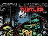 Teenage Mutant Ninja Turtles: The Ultimate Collection Volume 6