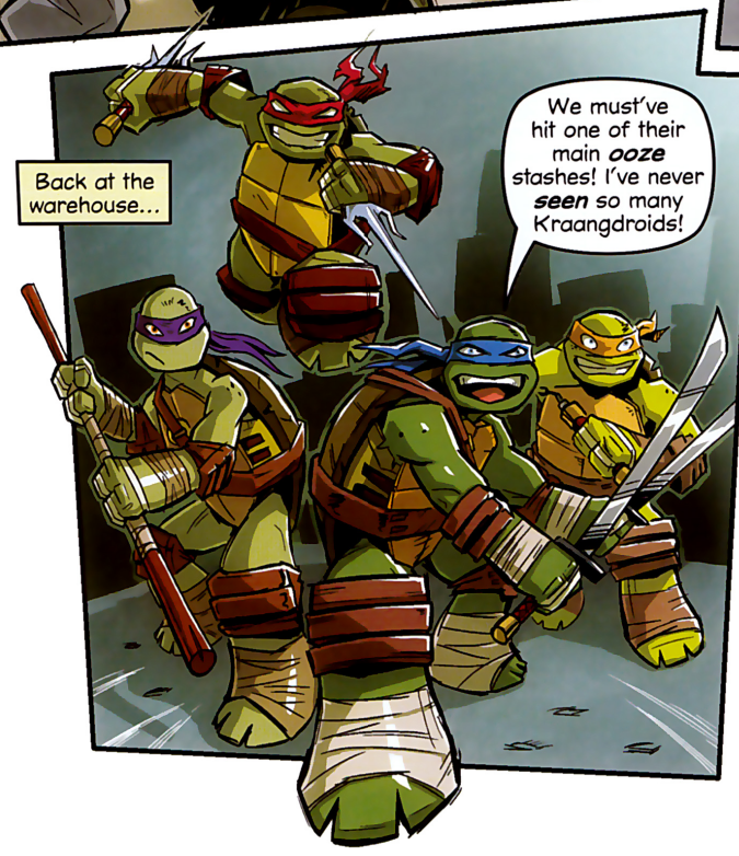 https://static.wikia.nocookie.net/tmnt/images/4/49/NinjaTurtles-Panini.png/revision/latest?cb=20230403035536