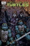 Issue 19 Cover B by Kevin Eastman