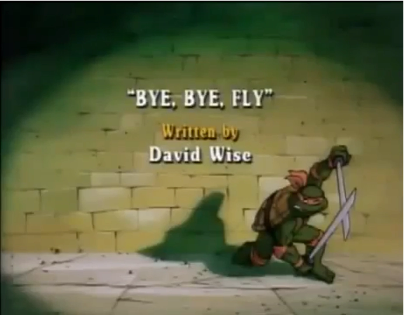 Bye Bye Fly Tmntpedia Fandom Bye, bye, fly (23 nov 1989). bye bye fly tmntpedia fandom