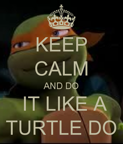 keep calm and love turtles