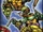 Teenage Mutant Ninja Turtles: 40th Anniversary Comics Celebration―The Deluxe Edition