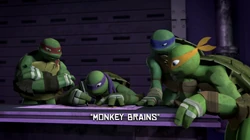 Monkey Brains title
