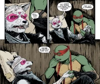 Das Verarzten der Wunden