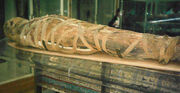 Mummy egyptian