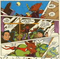 Leonardo, Raphael and Ninjara climbing and breaking into the Yen Brothers' headquarters.