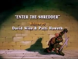 Enter the Shredder