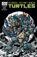 TMNT 16C.jpg (1.57 MB) Issue 16 Cover RI