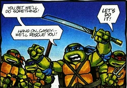 Ninja Turtles