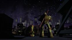 Tmnt207 0497