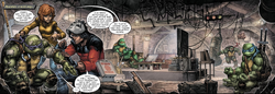 Turtle Lair Batman/TMNT