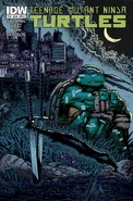 TMNT 16B.jpg (1.48 MB) Issue 16 Cover B