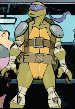 https://static.wikia.nocookie.net/tmnt/images/6/6e/Donatello-20-20-IDW.png/revision/latest/thumbnail/width/360/height/360?cb=20221122011852