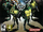 Teenage Mutant Ninja Turtles 3: Mutant Nightmare