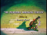 The Incredible Shrinking Turtles 1987 TV series